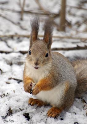 Прикрепленное изображение: 137956.jpg